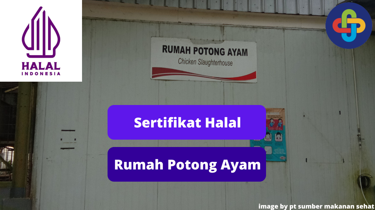 Inilah 4 Keuntungan Sertifikasi Halal di Rumah Potong Ayam (RPA)